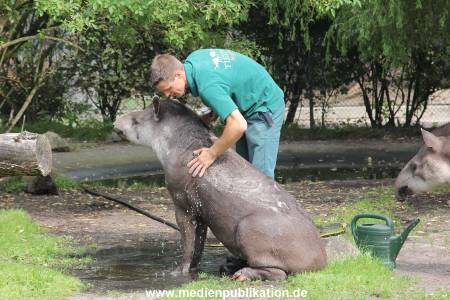 Hagenbeck 25072013 012