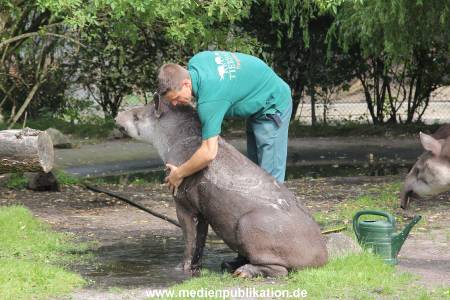 Hagenbeck 25072013 013