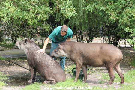 Hagenbeck 25072013 014