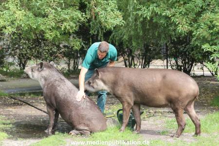 Hagenbeck 25072013 015