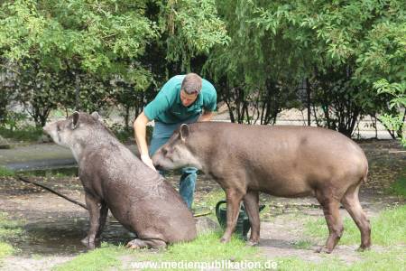 Hagenbeck 25072013 016