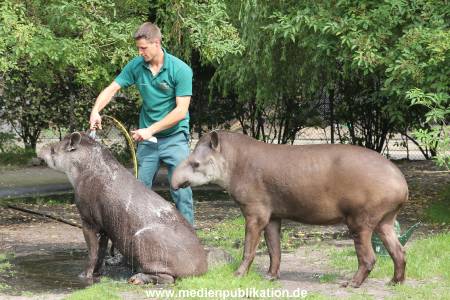 Hagenbeck 25072013 017