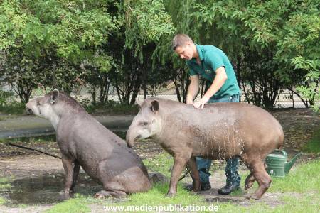 Hagenbeck 25072013 018