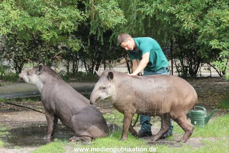 Hagenbeck 25072013 019