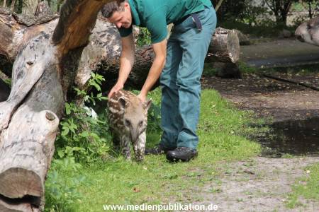 Hagenbeck 25072013 020