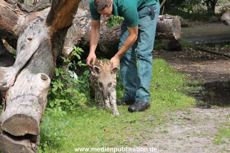 Hagenbeck 25072013 021