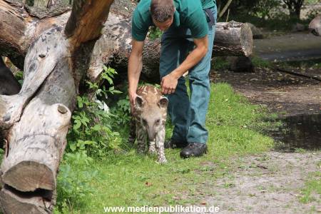 Hagenbeck 25072013 022