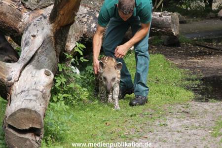 Hagenbeck 25072013 023