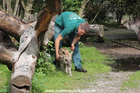 Hagenbeck 25072013 025