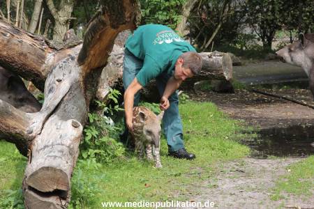 Hagenbeck 25072013 026