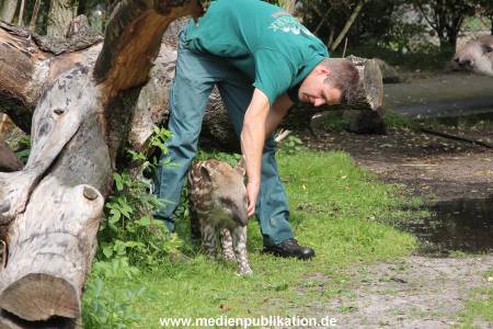 Hagenbeck 25072013 027