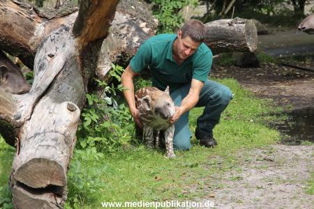 Hagenbeck 25072013 029