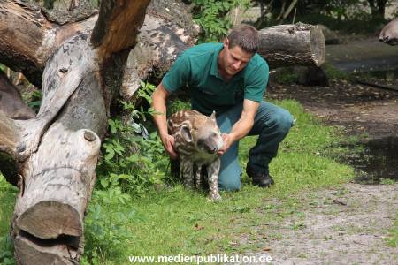 Hagenbeck 25072013 030