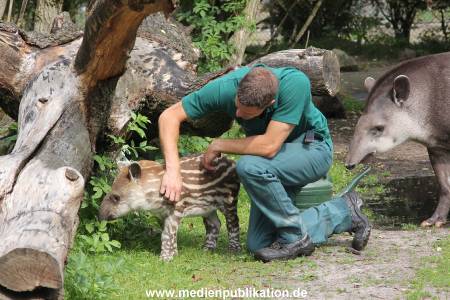 Hagenbeck 25072013 036