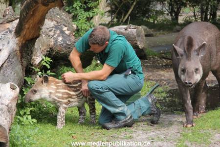 Hagenbeck 25072013 037