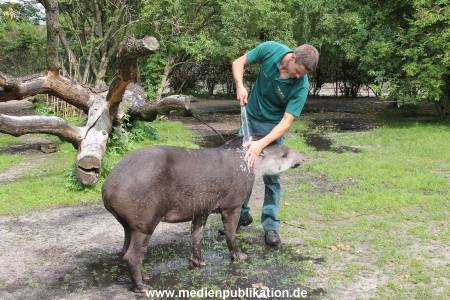 Hagenbeck 25072013 048