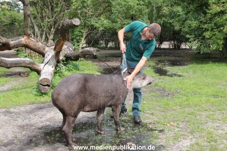 Hagenbeck 25072013 049