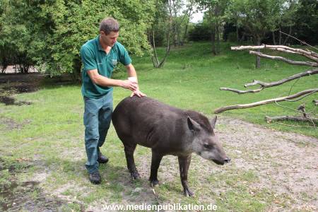 Hagenbeck 25072013 052