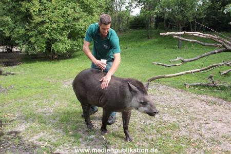 Hagenbeck 25072013 053