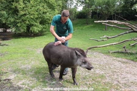 Hagenbeck 25072013 054
