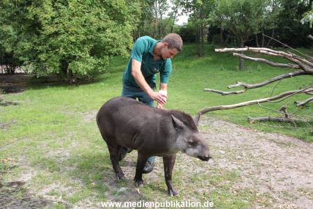 Hagenbeck 25072013 055