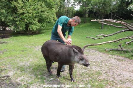 Hagenbeck 25072013 057