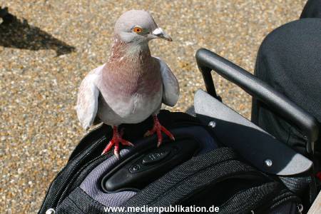 London 2004 299