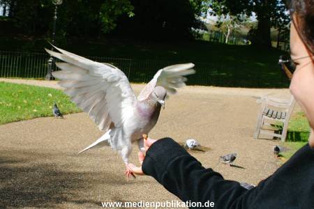 London 2004 304