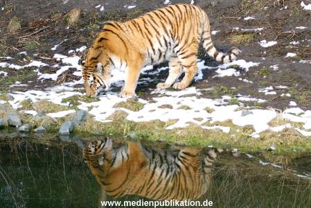 Hagebeck 05032005 018