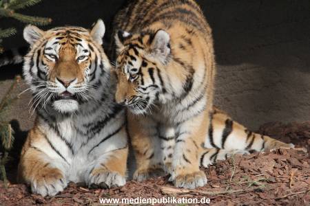 Hagenbeck 08052018 019