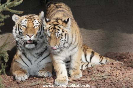 Hagenbeck 08052018 020