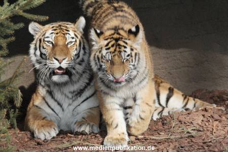 Hagenbeck 08052018 021