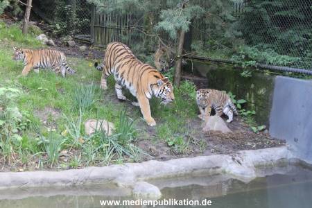 Hagenbeck 12102017 002