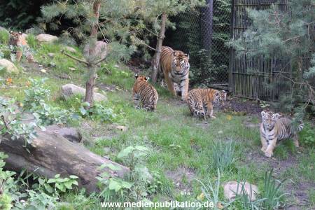 Hagenbeck 12102017 003