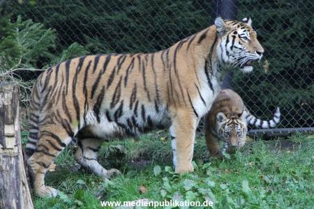 Hagenbeck 12102017 006