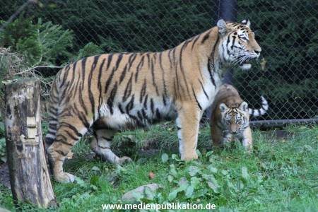 Hagenbeck 12102017 007