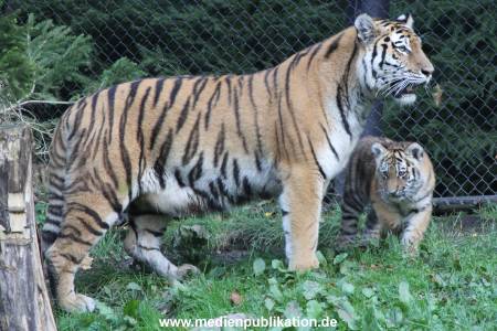 Hagenbeck 12102017 008