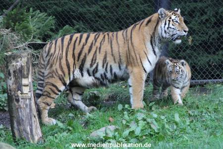 Hagenbeck 12102017 009