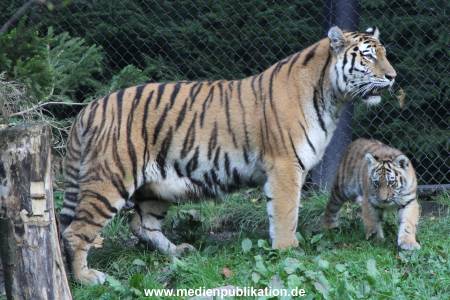 Hagenbeck 12102017 010
