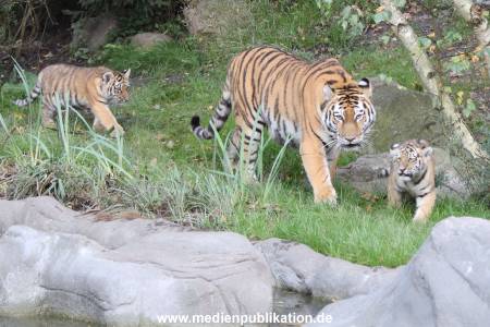 Hagenbeck 12102017 017