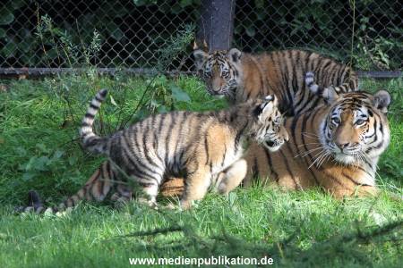 Hagenbeck 12102017 026