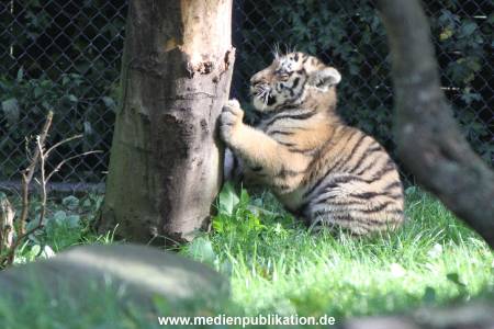 Hagenbeck 12102017 027