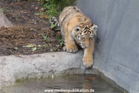 Hagenbeck 12102017 030