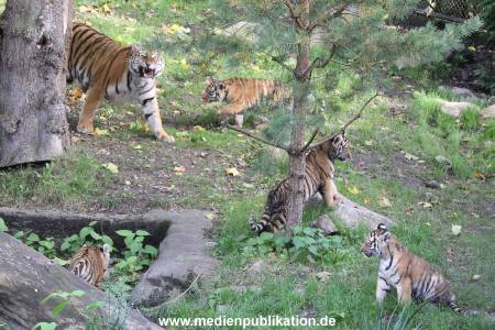 Hagenbeck 12102017 037