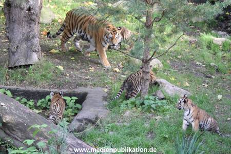 Hagenbeck 12102017 038