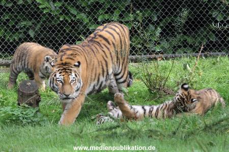 Hagenbeck 12102017 040