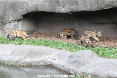 Hagenbeck 12102017 047