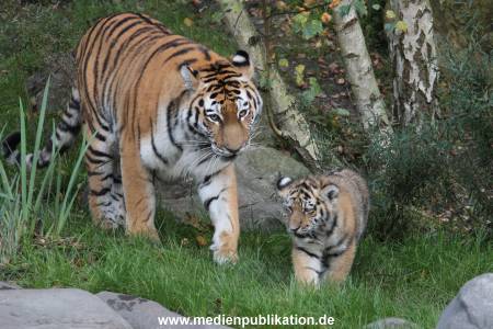 Hagenbeck 12102017 048