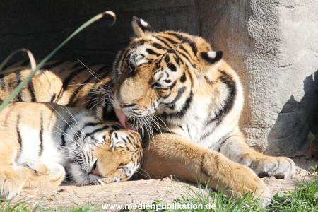 Hagenbeck 122016 005