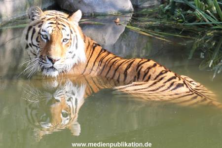 Hagenbeck 23072014 014